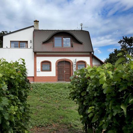 Ubytovani U Vyskocilu Prušánky Extérieur photo